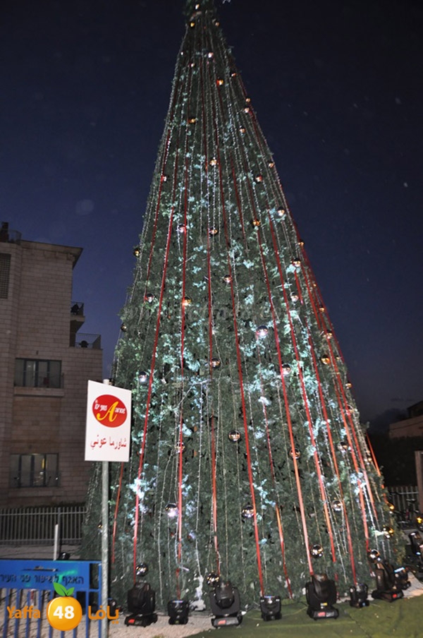 tree milad shajara (3).JPG